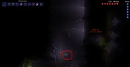 Devourer without head