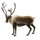 Item reindeer 01.png