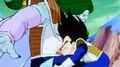 ZarbonkneesVegeta