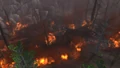 HumboldtConflagration.jpg