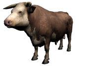 Version2Bonzo