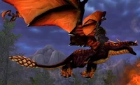 Image of Dragonmaw Black Drake