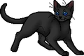 Rainwhisker.apprentice