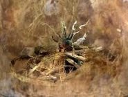 Man-thing nexus