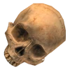 Skull.png