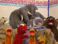 WILD ANIMALS SONG.png