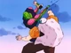 Piccolo