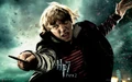 Harry-Potter-and-The-Deathly-Hallows-Part-2-Wallpapers-8.jpg
