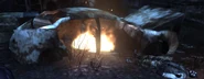 ArkhamCap 241