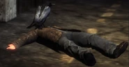ArkhamCap 572