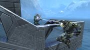 Reach 14768193 Full
