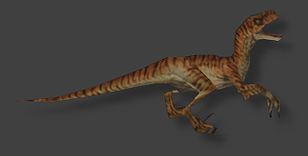 velociraptor carnivore