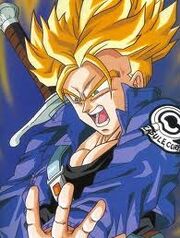 Future trunks hyt