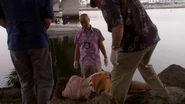 6x03 - Smokey and the Bandit 31
