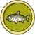 Salmón Japonés