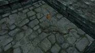 TESV Wedding Ledge Bow