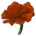 Volcanic Plant Leaf