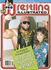 Pro Wrestling Illustrated - November 1991