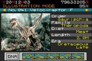 VelociraptorFemalePBuilder