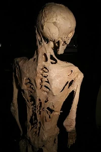 Bonehive