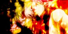 Zancrow vs Natsu