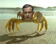 Krabs