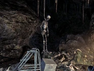 Hanging body