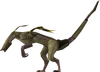 Diseased jadinko