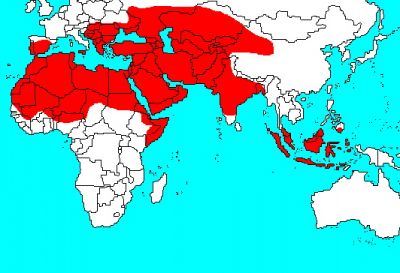 Caliphate Map