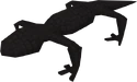Black Salamander Hunter