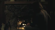 Cabinhearth