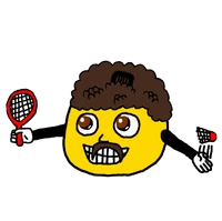 Stelivil