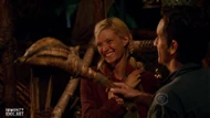 Survivor History