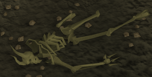 Dragonkin skeleton