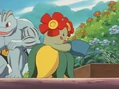 Haruno Bellossom