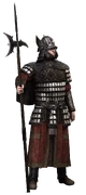 Guard-varangian-ACR