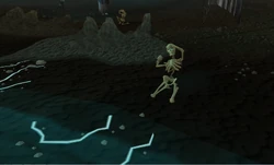 Frozen SKeletons