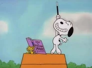 Snoopywand