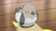 Pidove anime