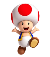 MKXL Toad