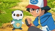 Ash and Oshawott