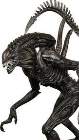 Alien
