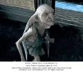 Creature.jpg
