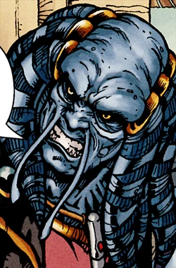 Felnheadshot.jpg