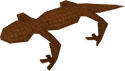 Salamander