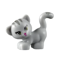 Friendscat