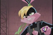 Lexi Bunny