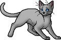 Boulderfur.apprentice.png
