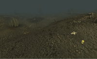 Wilderness wasteland