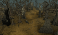 Wilderness wood pathway
